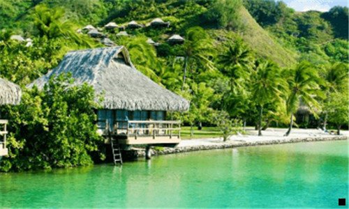 一怎么弄一个粉象生活app的邀请码