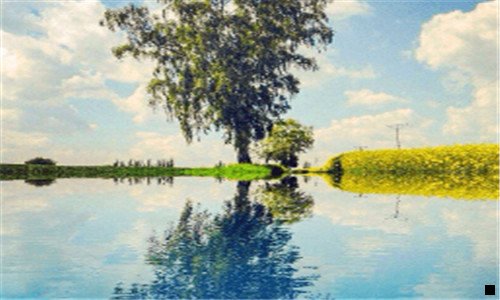 三粉象合伙人需要交钱吗