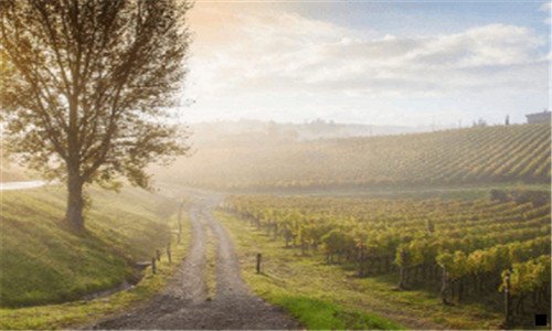 一粉象生活app葳fxsh33赚钱