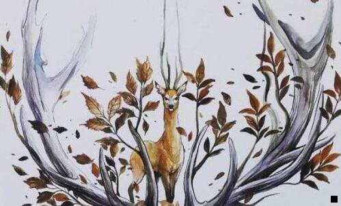 三粉象怎么推广效率比较高