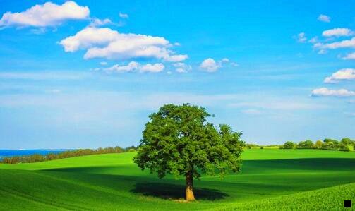 一粉象生活群里链接纸巾怎么发