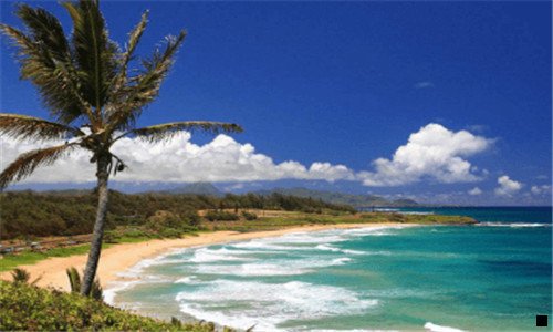 二粉象生活推广难度大