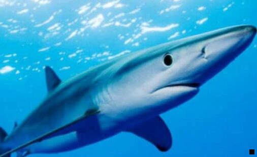 三粉象生活一定要填邀请码吗