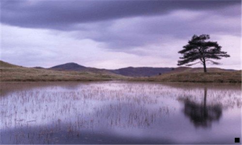 二粉象生活佣金收入