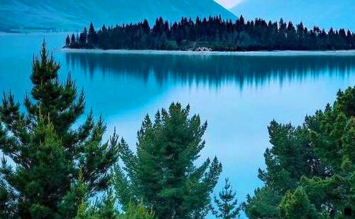 二粉象提现未到账要找谁