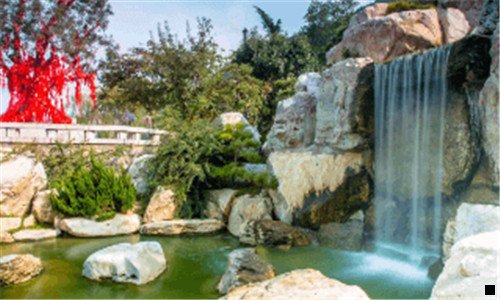 一百子湾粉象啤酒屋