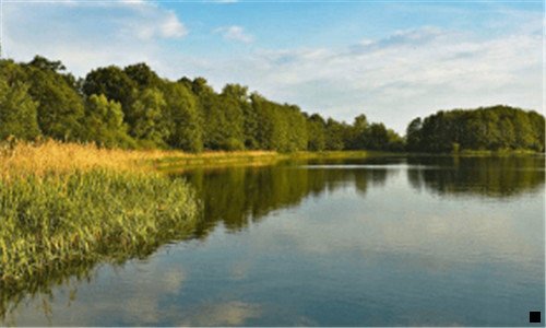 三粉象生活获得融资