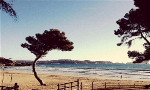 三粉象怎么点击提现没有反应