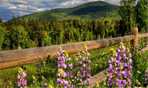 三粉象这个平台合法吗