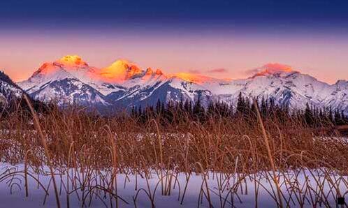 一粉象生活佣金分成