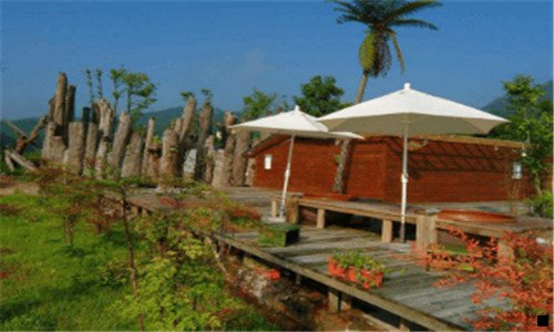 三粉象生活等级和佣金