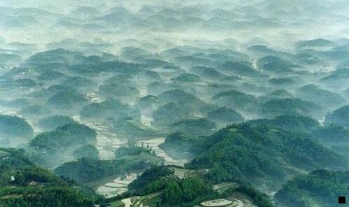 二粉象生活新人0元免单怎么弄