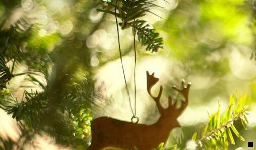 一粉象什么时候上线的