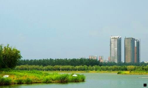 三粉象是什么