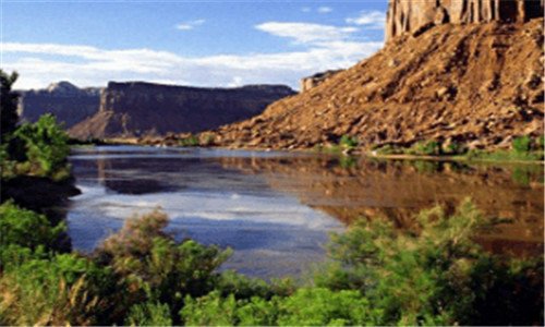 二迦楼罗精酿啤酒屋怎么样