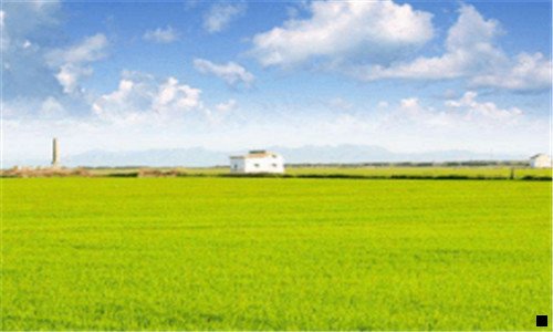 三好省跟粉象生活哪个好