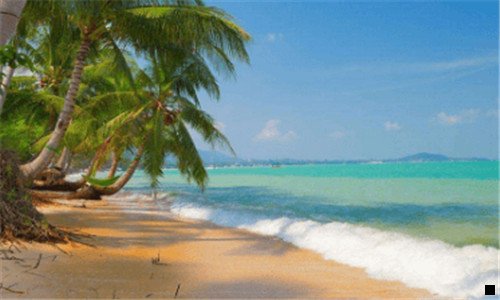 三粉象生活是否合法