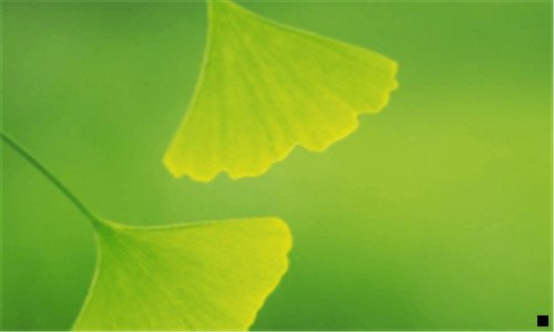 二粉象一个月交68