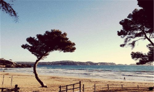 二粉象生活如何看自己上月佣金