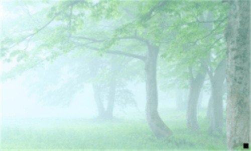 三粉象生活有几代佣金