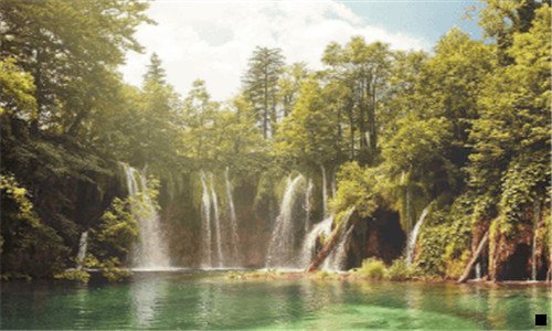 一粉象生活t邀请码539601实力