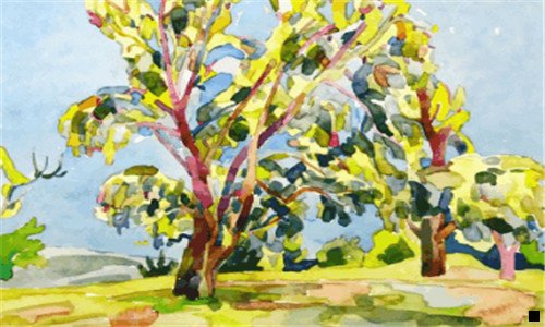 二粉象生活升级VIP必须交钱