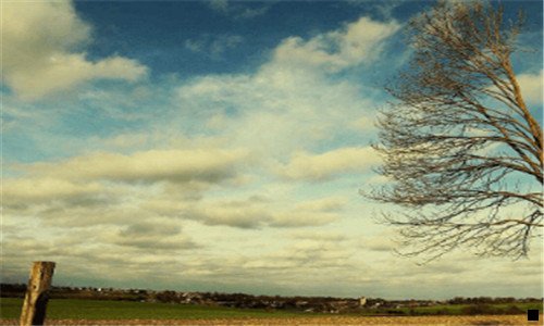 三如何把粉象生活分享到微博