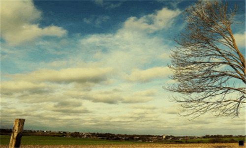 二如何在粉象分享赚钱