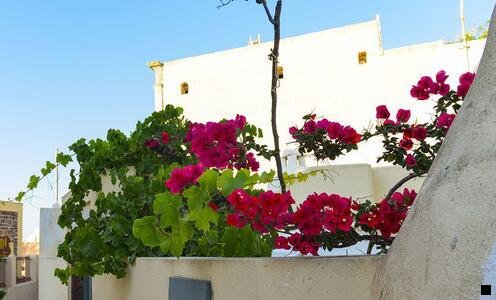 三现在做粉象生活还赚钱吗