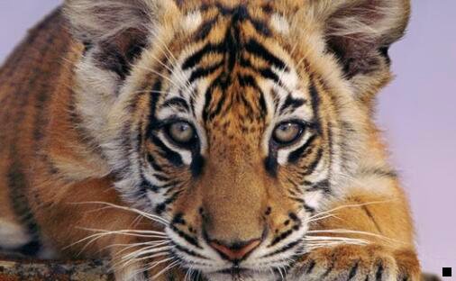 一粉象生活邀请人靠谱吗325922