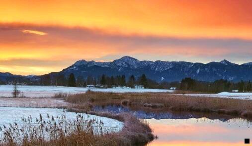 二跟粉象生活类似的APP有哪些