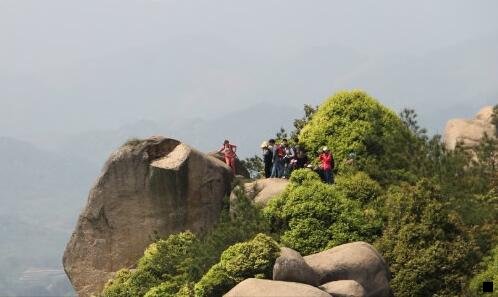 二神象野山参粉怎么开