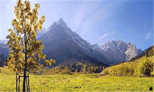 一粉象生活二维码变链接