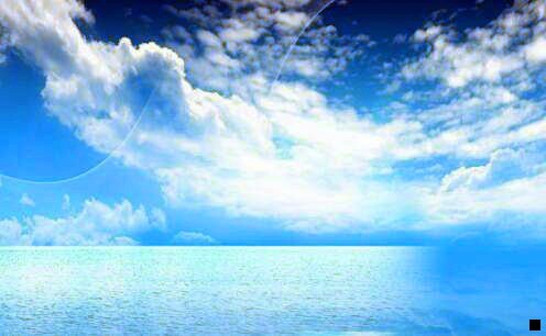 一中粮神象面粉蛋糕粉