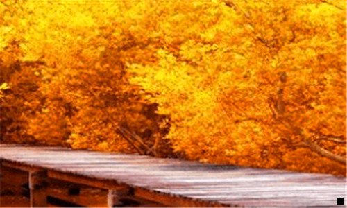 三粉象生活怎么盈利