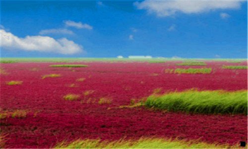 一深圳粉象合伙人