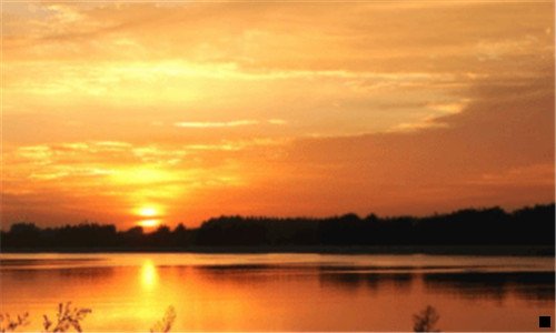 一粉象和好省的区别