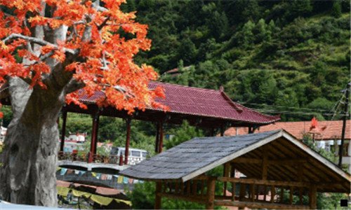 三粉象生活地推