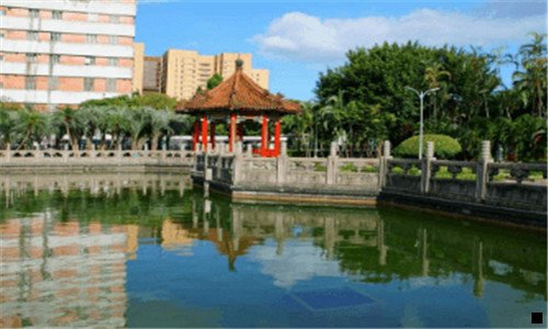 二粉象是什么