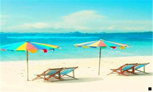 三花粉佣金是真的吗