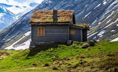 三粉象生活推广引流