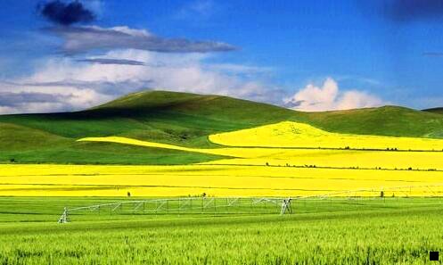 二粉象生活0元福利购几点开始