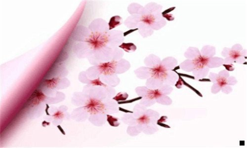三粉象生活是个什么东西