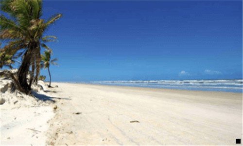 一为什么别人的粉象邀请码是数字