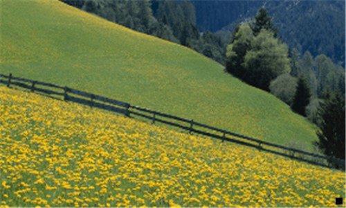 二粉象生活佣金分配模式