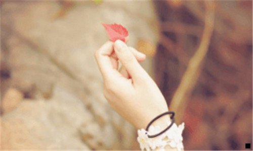 一粉象生活创始人是谁
