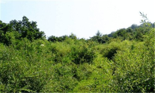 二四川宝象物流