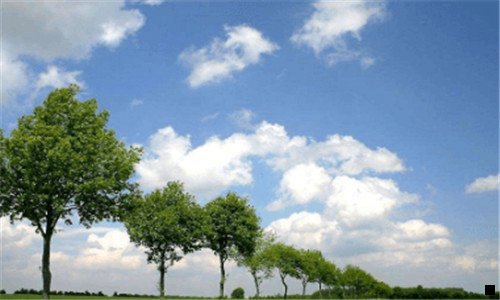 一粉象生活用微信登录安全吗