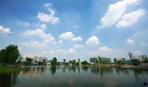 一粉象市场价