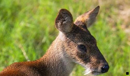 二粉象生活官方邀请码怎么登录